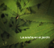 La Ara�a En El Jard�n - La Ara�a En El Jard�n
