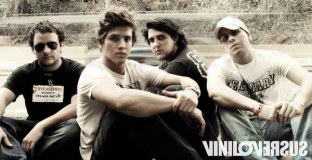 Viniloversus
