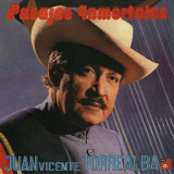 Juan Vicente Torrealba - Pasajes Inmortales