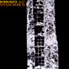 Borburata Jazz - Visiones