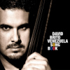 David Brito - Venezuela Songbook