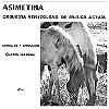 Orquesta Venezolana De M�sica Actual - Asimetria