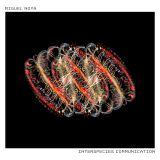 Miguel Noya - Interspecies Communication