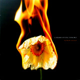 Caramelos de Cianuro - Flor De Fuego