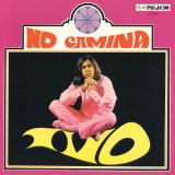 Ivo - No Camina