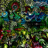 Phonit - Distorp�a