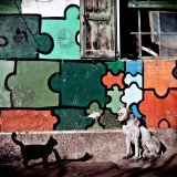 Planeador - Planeador