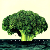 Rawayana - Rawayana Land