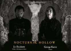 Nocturnal Hollow